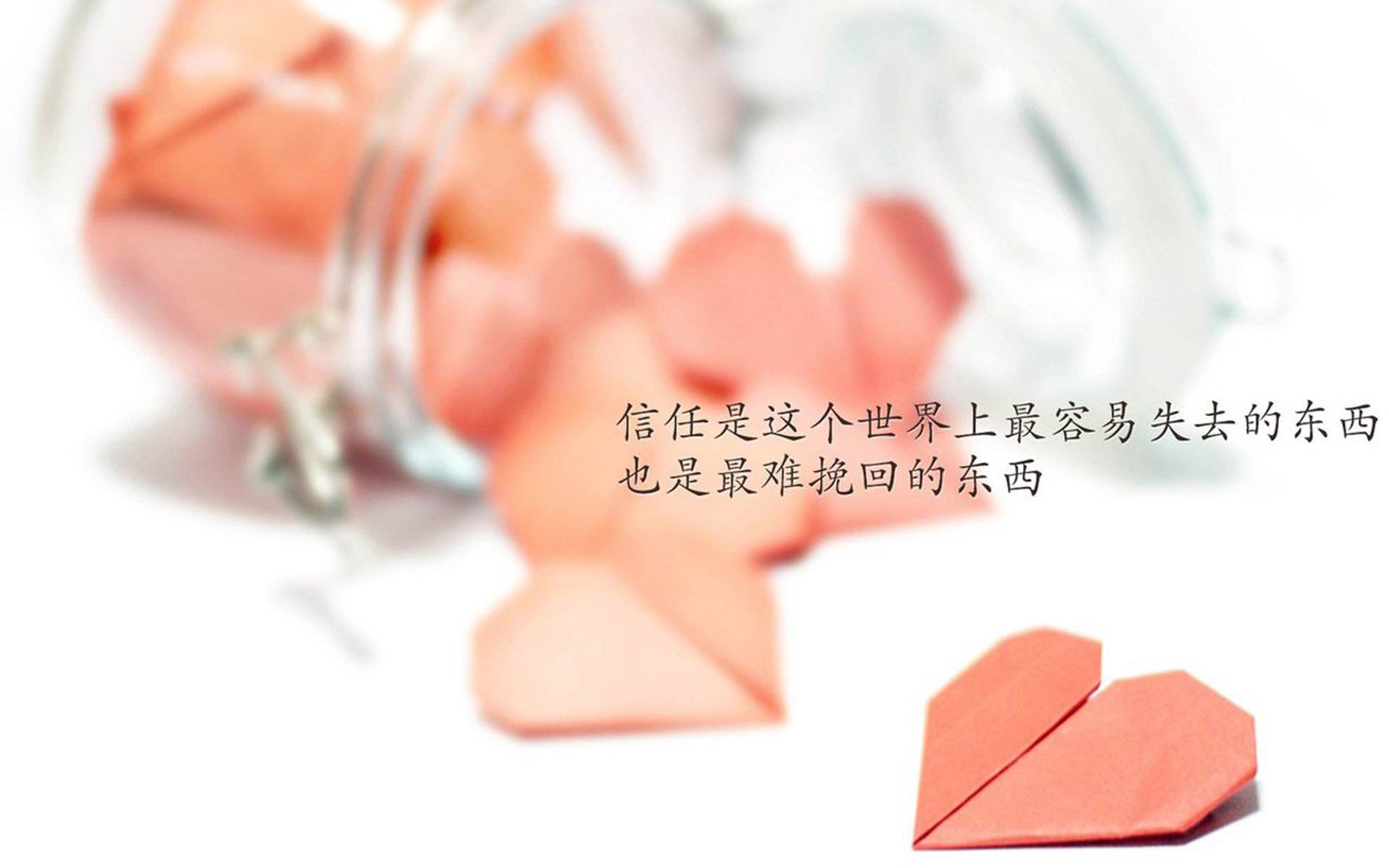 适合晚上吃的代餐（晚上什么代餐可以减肥）